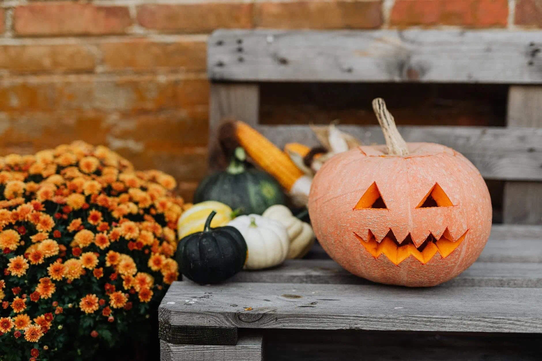 5 idées d'animations commerciales pour Halloween