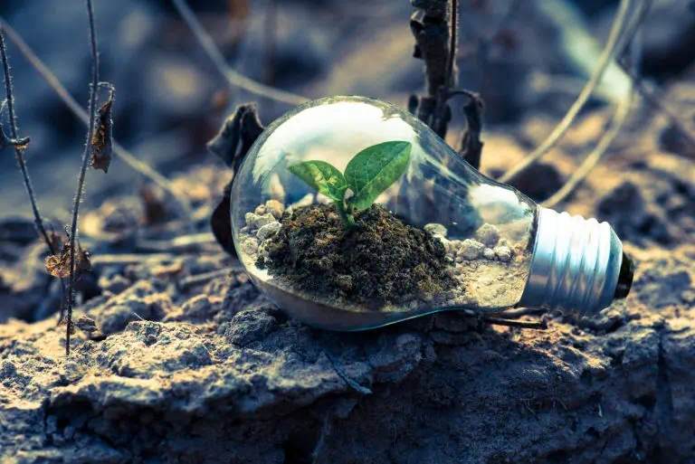 Commerçants : Limiter son impact environnemental, c'est possible !
