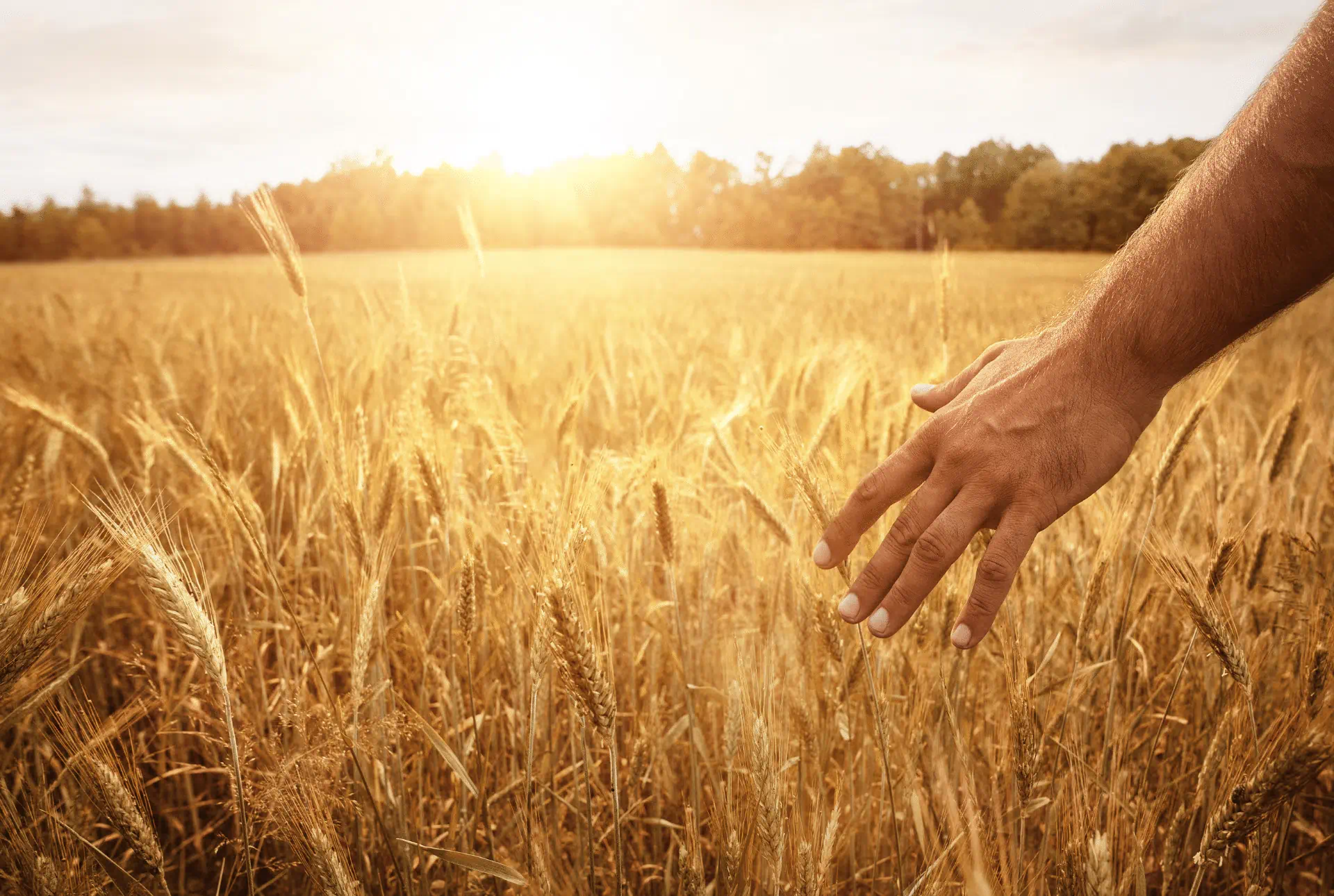 Découvrez l’agrotourisme : des vacances authentiques proche de la nature !