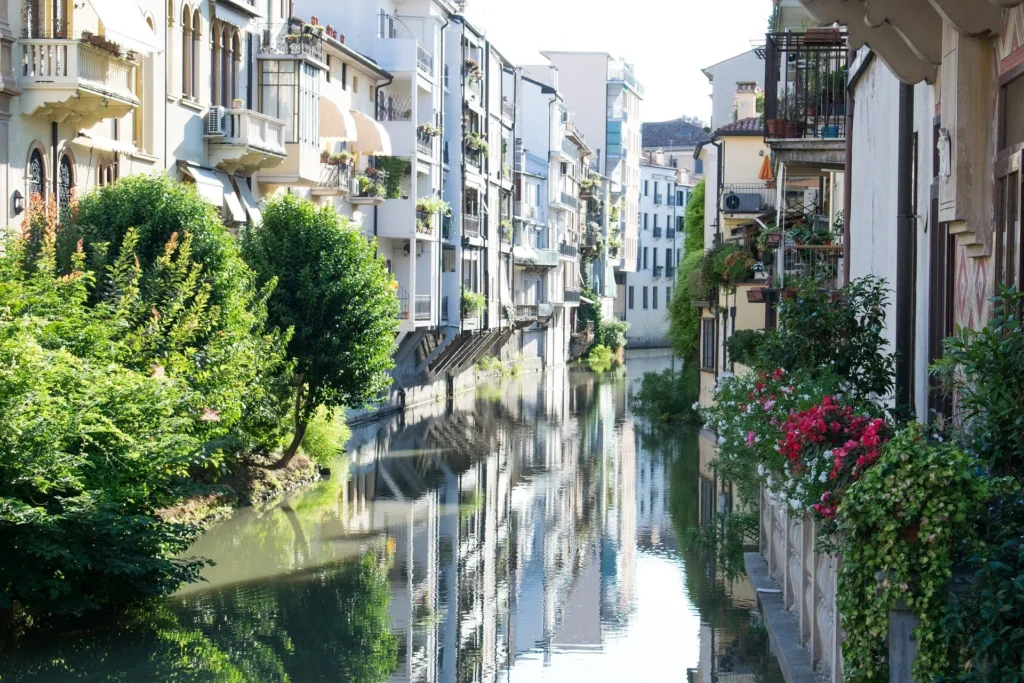 Proxity vous emmène aux quatre coins de France pour y découvrir ces 5 villes fleuries qui font la fierté de notre terroir !